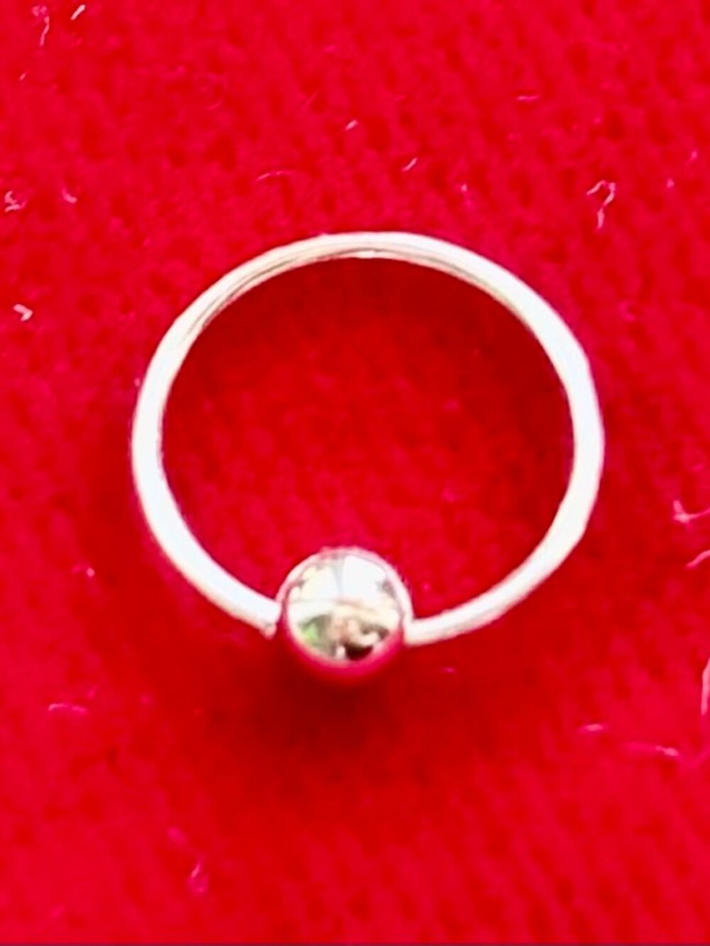 Endless Hoop ball Nose Ring 14k White Gold